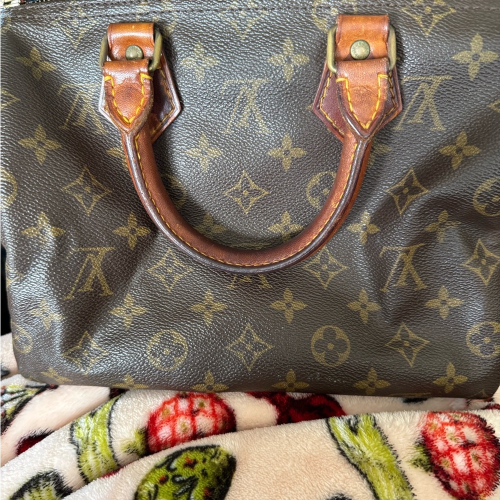 Louis Vuitton Monogram Lock Detail Bag